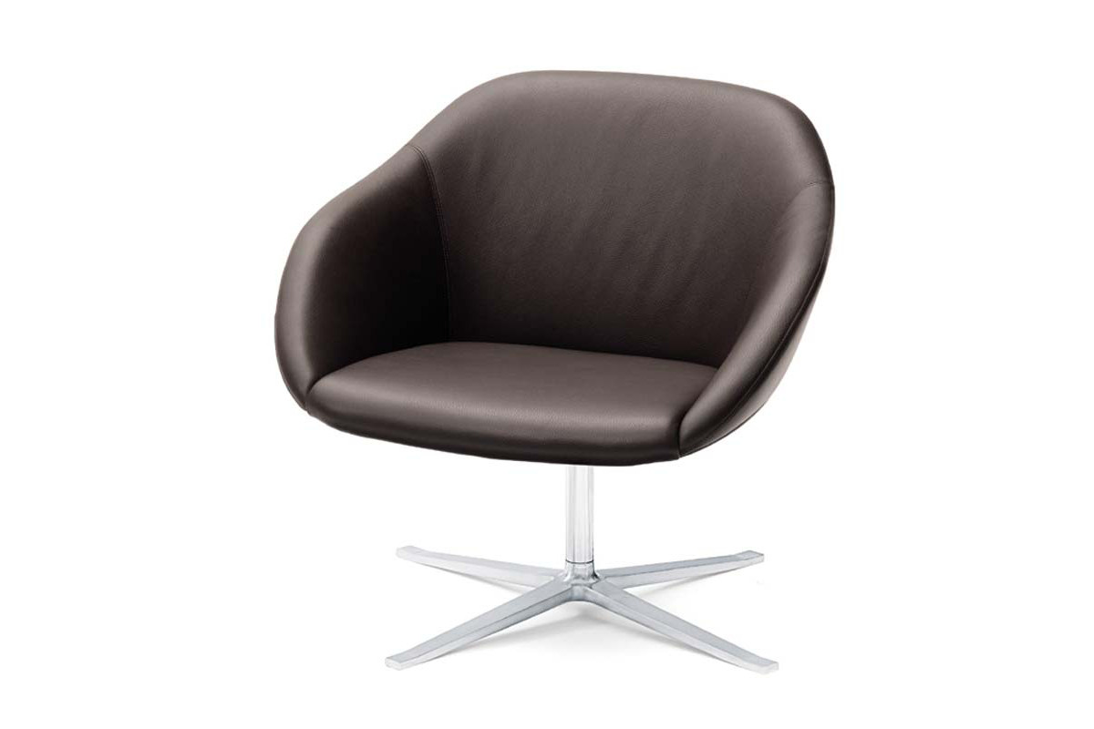 walter knoll turtle fauteuil 3